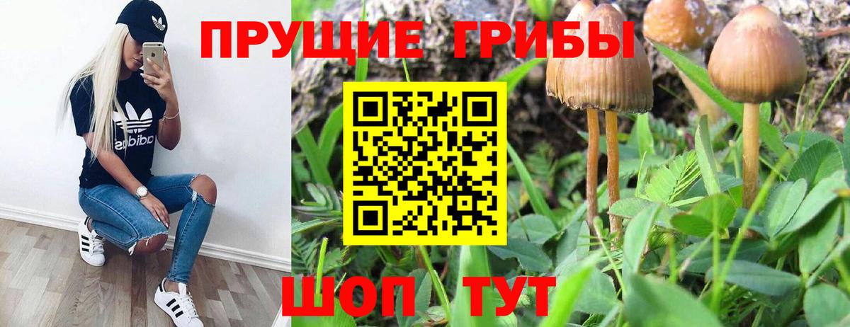 Галлюциногенные грибы GOLDEN TEACHER Донецк